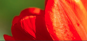 ddos在线攻击平台