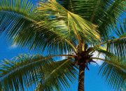 手机攻击器APP下载